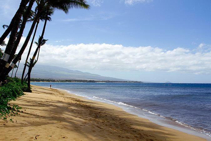 Kealia Resort 502キヘイ エクステリア 写真
